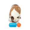 Guru Treat Challenger Dog Toy (Medium)