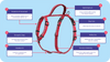 Company of Animals Halti Walking Harness (Small / Purple)