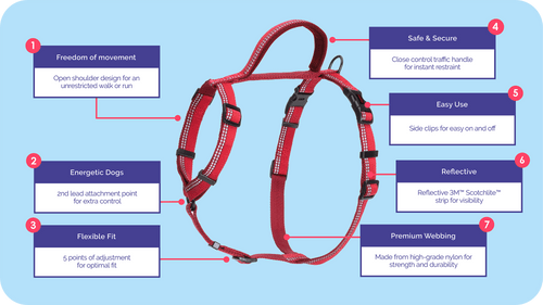 Company of Animals Halti Walking Harness (Small / Purple)