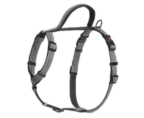 Company of Animals Halti Walking Harness (Small / Purple)