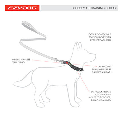 EzyDog Checkmate Martingale Collar