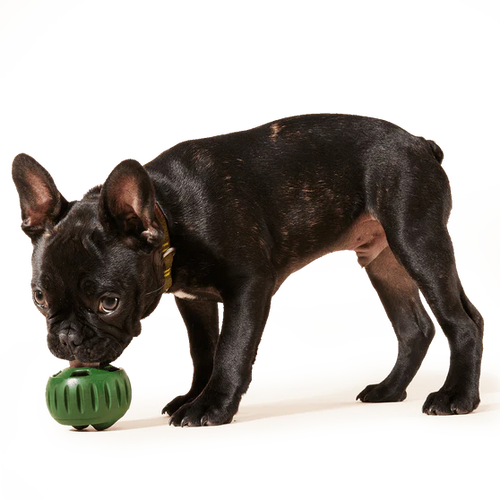 Woof Pupsicle Pops Dog Treats