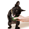 Woof Pupsicle Treat Tray