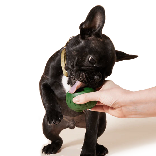 Woof Pupsicle Treat Tray