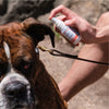 Wondercide Flea & Tick Spray for Pets + Home with Natural Essential Oils