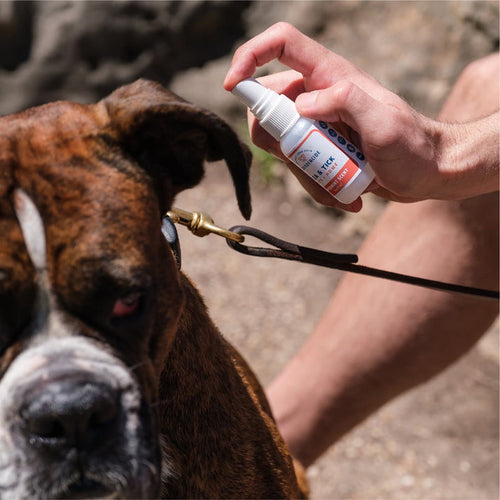 Wondercide Flea & Tick Spray for Pets + Home with Natural Essential Oils