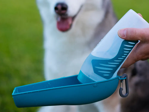 Messy Mutts Squeezable Travel Water Bottle with Removable Bowl (Blue 16 oz)