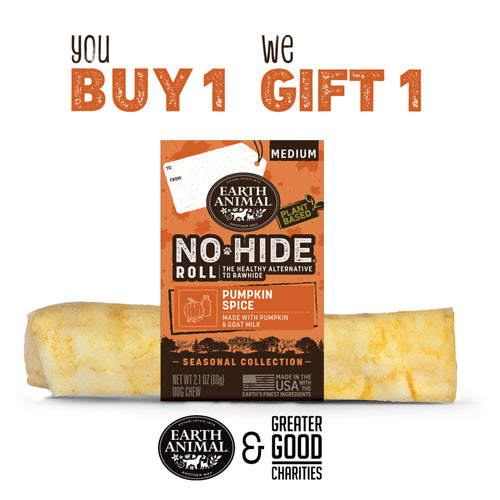 Earth Animal No-Hide® Seasonal Collection Pumpkin Spice Strips  Dog Treats