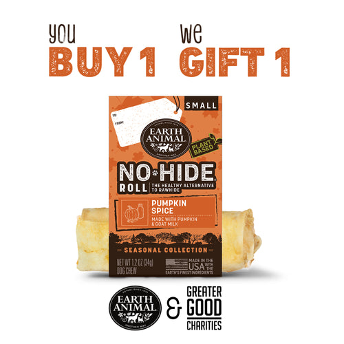 Earth Animal No-Hide® Seasonal Collection Pumpkin Spice Strips  Dog Treats
