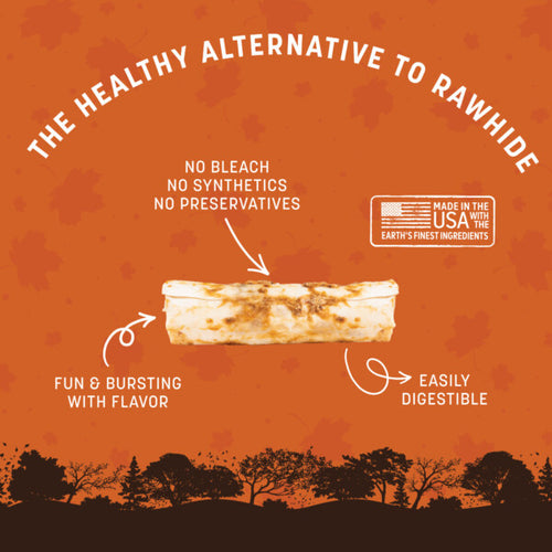 Earth Animal No-Hide® Seasonal Collection Pumpkin Spice Strips  Dog Treats