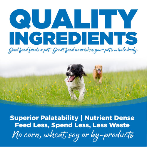 NutriSource® Large Breed Chicken & Rice Recipe Dog Food (26 lb)