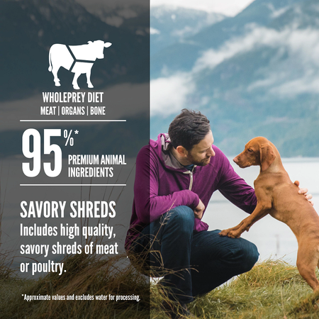 ORIJEN Beef Recipe Stew with Shredded Beef and Eggs Wet Dog Food (12.8 Oz Single)