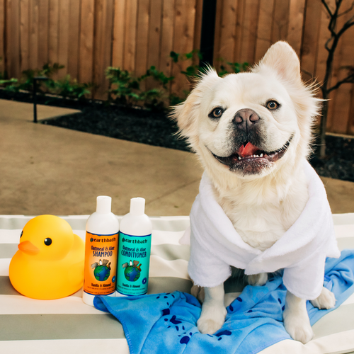 Earthbath Vanilla & Almond Oatmeal & Aloe Conditioner for Dogs and Cats (16 oz.)