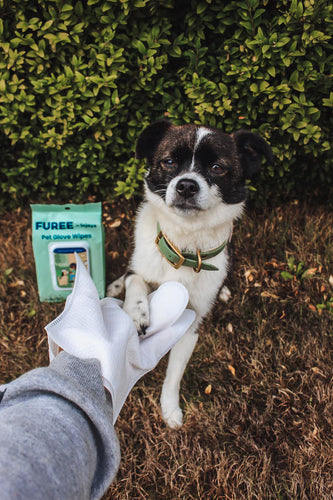 Injoya Pet Glove Wipes