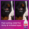 Wondercide RESCUE Eye Drops for Dogs & Cats