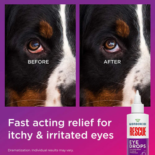 Wondercide RESCUE Eye Drops for Dogs & Cats
