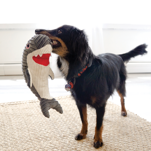 KONG CuteSeas Rufflez Shark Plush Dog Toy