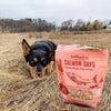 Polkadog Salmon Says (Bits) Dog Treats (7oz)