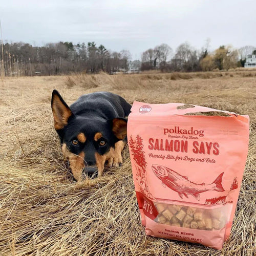 Polkadog Salmon Says (Bits) Dog Treats (7oz)