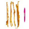 Tuesday's Natural Dog Company Turkey Tendons