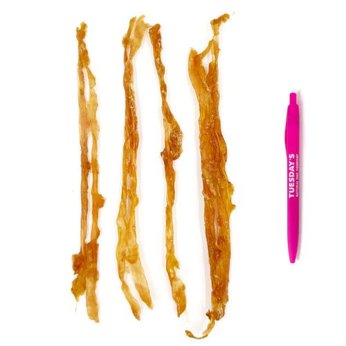 Tuesday's Natural Dog Company Turkey Tendons
