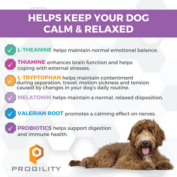 Nootie Progility Calming Aid Soft Chew Supplement For Dogs (90 Count)