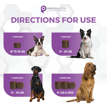 Nootie Progility Calming Aid Soft Chew Supplement For Dogs (90 Count)