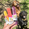 Tuesday's Natural Dog Company Strawberry Yak Cheese Chew Medium