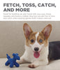 Charming Pet Rubber Latex Balloon Squeaky Dog Toy