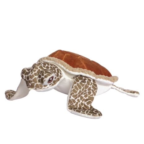 Tall Tails Animated Sea Turtle Toy