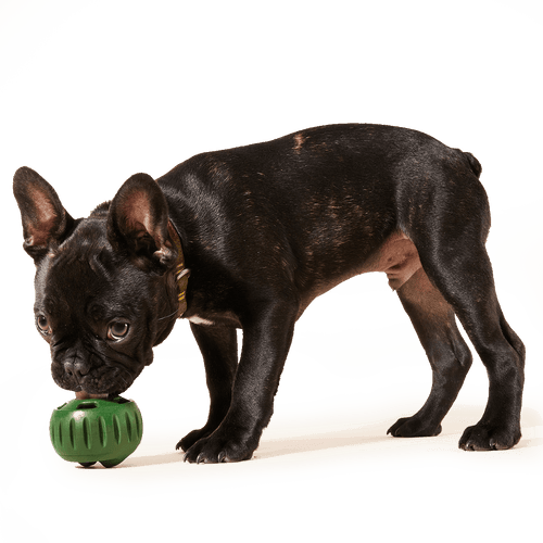 Woof Pupsicle Pops Dog Treats Beef & Peanut Butter