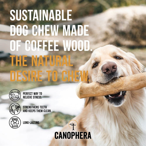 Canophera Coffee Wood Dog Chew Sticks ()