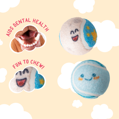 Snugarooz Comet Me Bro 2Pk Squeaky Tennis Balls Dog Toy (6” 2Pk)