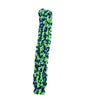 Amazing Pet Products Retriever Rope (Blue/Green 12.5)