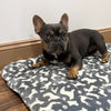 Territory Crate Mat for Dogs (Large)