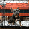Territory Crate Mat for Dogs (Extra Large)