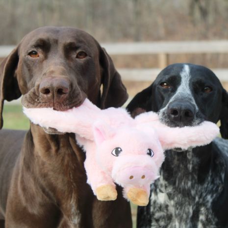 Tall Tails  Fling and Fetch Toy for Dogs (12 / Pig)