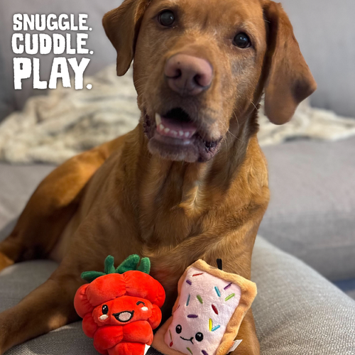 Snugarooz Poptart & Raspberry Dog Toy ()