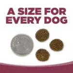 NutriSource® PureVita™ Salmon & Kale Entrée Limited Ingredient Dog Food ()