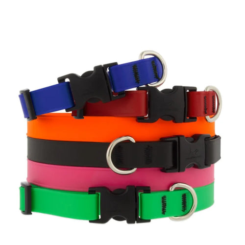 Lupine Splash Waterproof Dog Collars