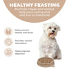 Outward Hound Fun Feeder Wave Tau Small