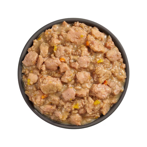 Petcurean Go! Solutions Minced Chicken + Salmon with Gravy for Brain Health Wet Cat Food (2.5 oz)