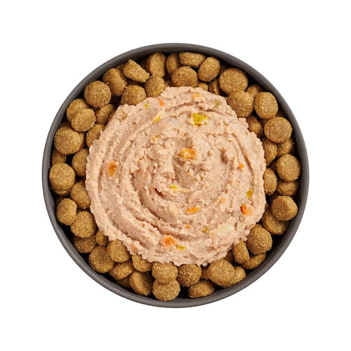 Petcurean Go! Solutions Booster Chicken + Duck Pâté for Digestive Health Wet Dog Food (2.8 oz)
