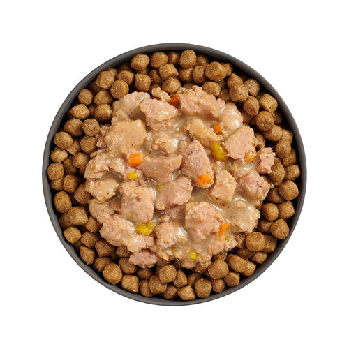 Petcurean Go! Solutions Minced Chicken + Salmon with Gravy for Brain Health Wet Cat Food (2.5 oz)