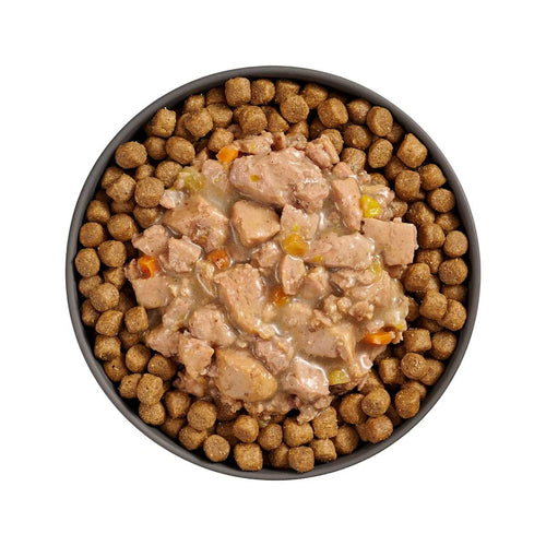 Petcurean Go! Solutions Booster Minced Chicken + Duck with Gravy for Digestive Health Wet Cat Food (2.5 oz)