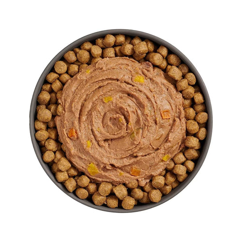 Petcurean Go! Solutions Booster Tuna + Salmon Pâté for Digestive Health Wet Cat Food (2.5 oz)