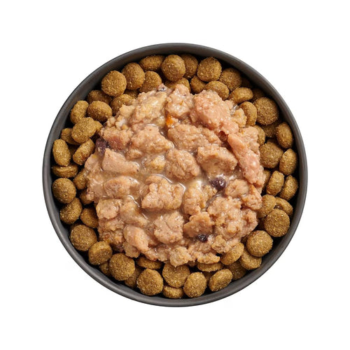 Petcurean Go! Solutions Booster Minced Chicken with Gravy for Immune Health Wet Dog Food (2.8 oz)