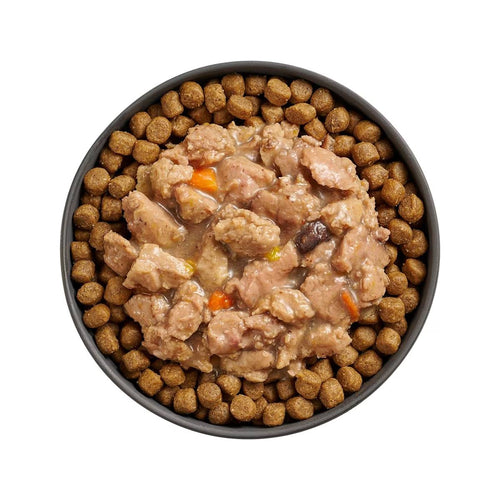 Petcurean Go! Solutions Booster Minced Chicken + Salmon with Gravy for Immune Health Wet Cat Food (2.5 oz)