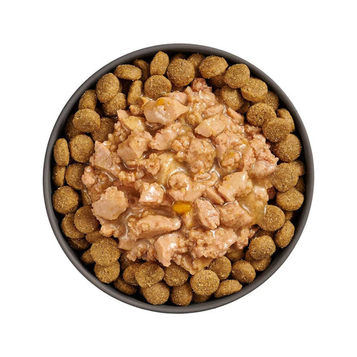 Petcurean Go! Solutions Booster Minced Chicken with Gravy for Joint Care Wet Dog Food (2.8 oz)