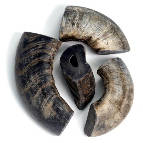 Durkha Buffalo Horn